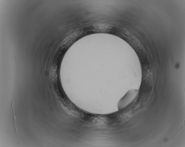 X0000094060599200711161526