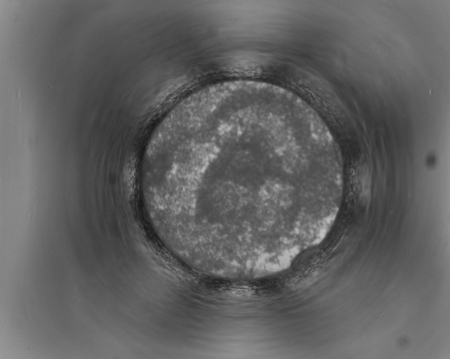 X0000094060600200711161526