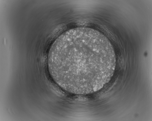 X0000094060601200711161526