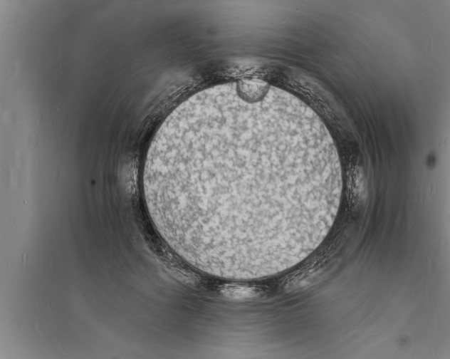 X0000094060602200711161526