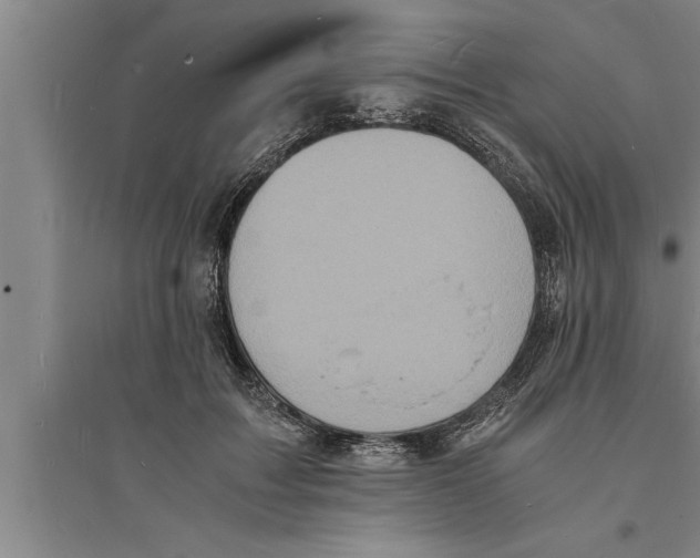 X0000094060603200711161526