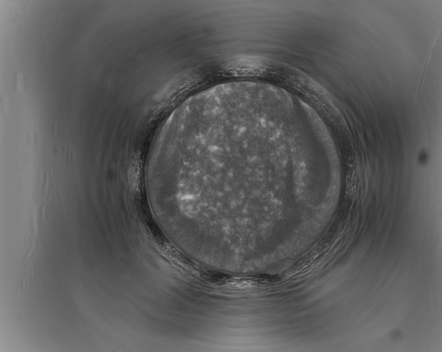 X0000094060604200711161526