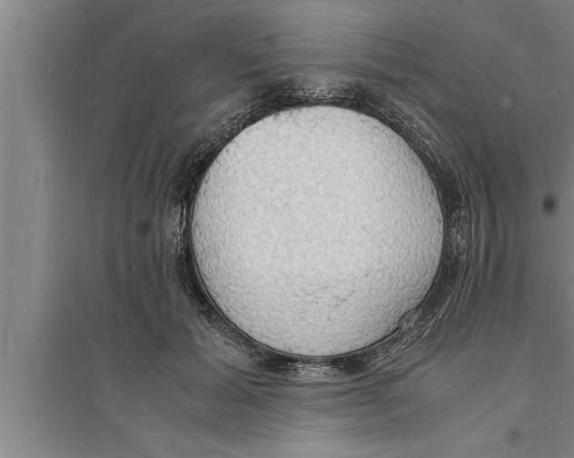 X0000094060605200711161526