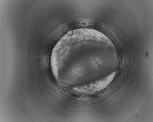 X0000094060606200711161526