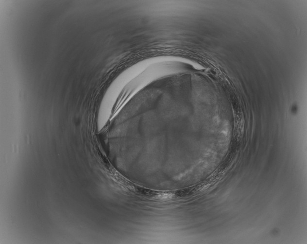 X0000094060609200711161526