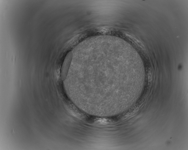 X0000094060611200711161526