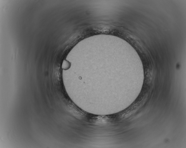 X0000094060612200711161526