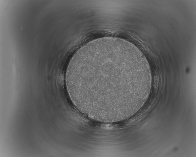 X0000094060613200711161526