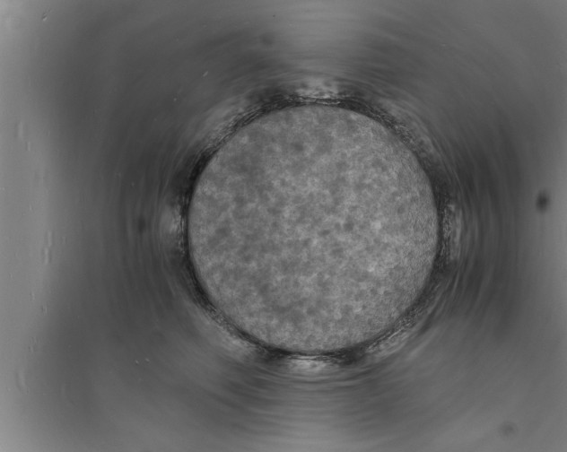 X0000094060614200711161526