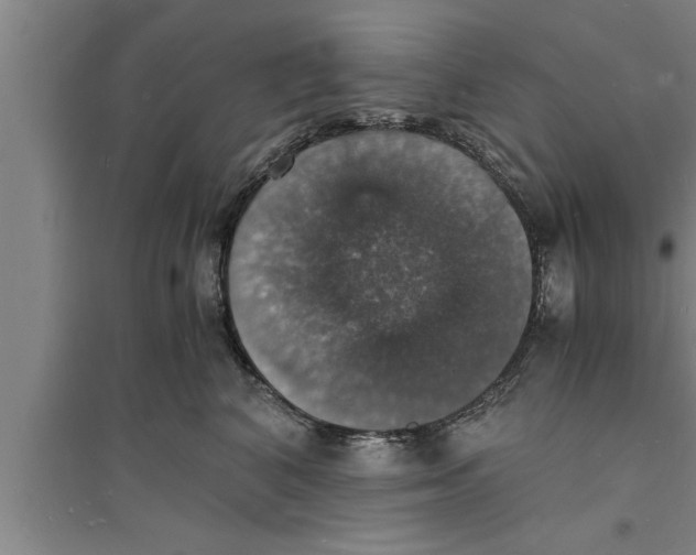 X0000094060616200711161526