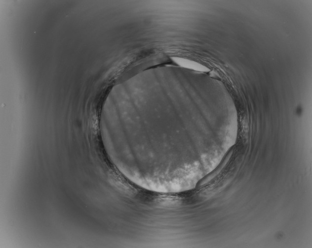 X0000094060617200711161526