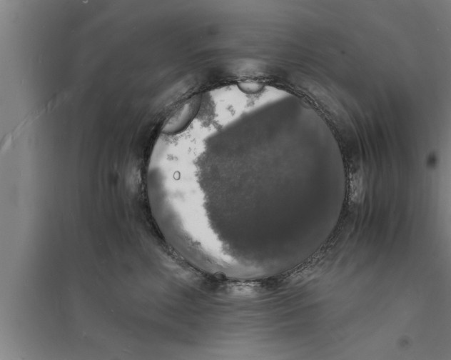 X0000094060618200711161526