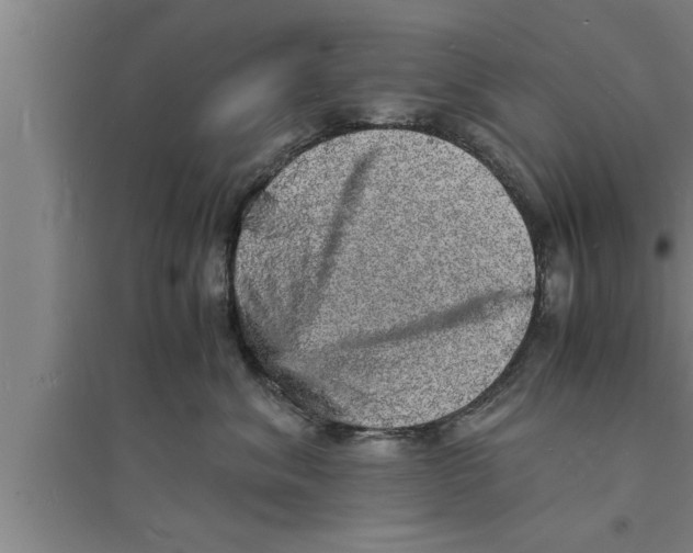 X0000094060620200711161526