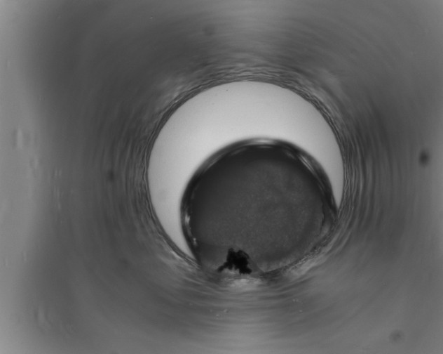 X0000094060621200711161526