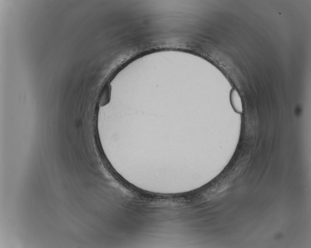 X0000094060625200711161525