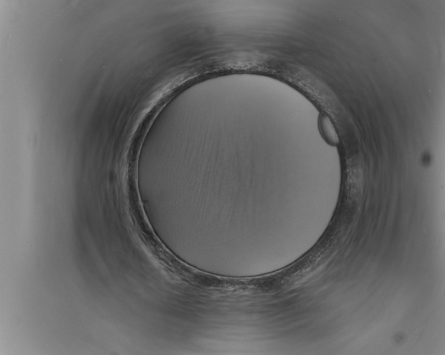 X0000094060626200711161525