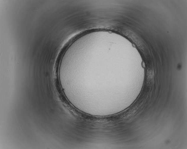 X0000094060628200711161525