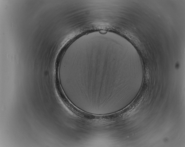 X0000094060630200711161525