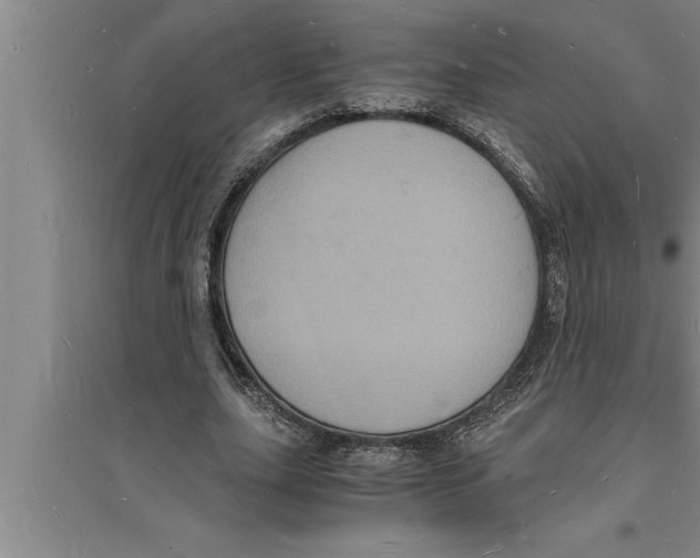 X0000094060631200711161525