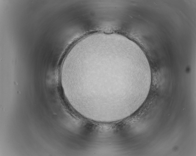 X0000094060632200711161525