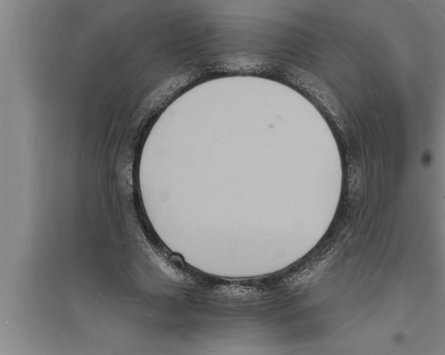 X0000094060633200711161525