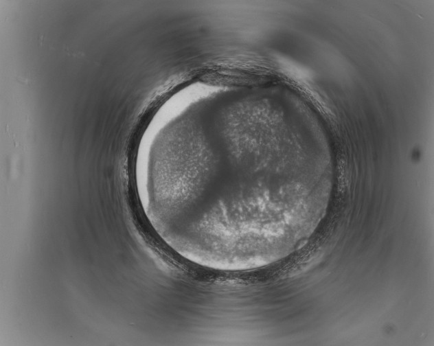 X0000094060634200711161525