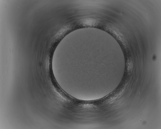 X0000094060637200711161525