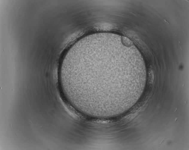 X0000094060638200711161525