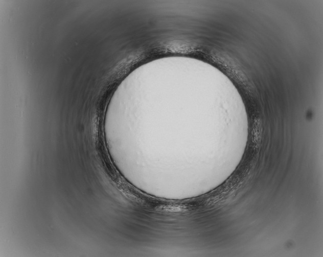 X0000094060639200711161525