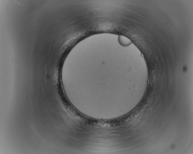 X0000094060640200711161525