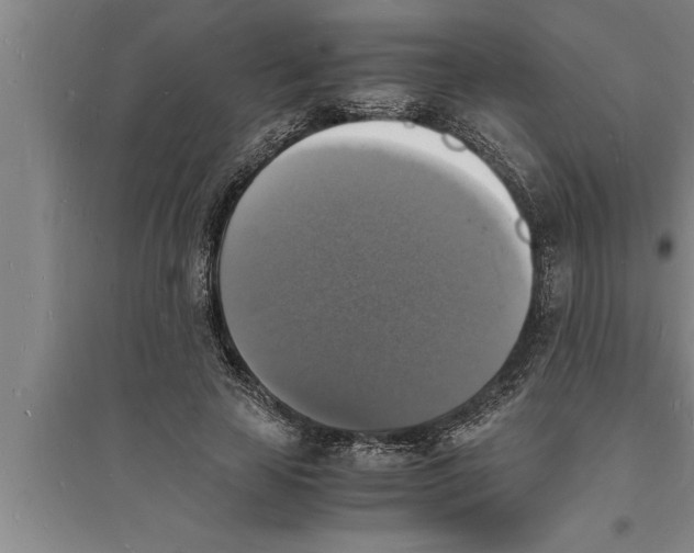 X0000094060641200711161525