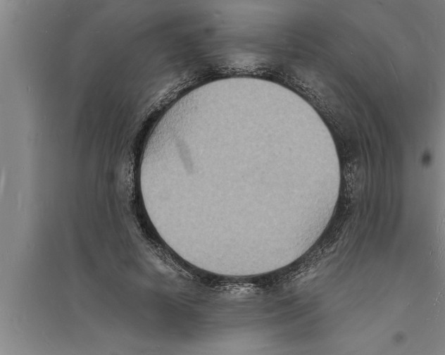 X0000094060642200711161525