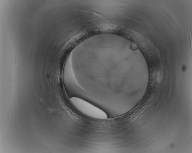 X0000094060644200711161525