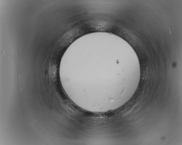 X0000094060646200711161525