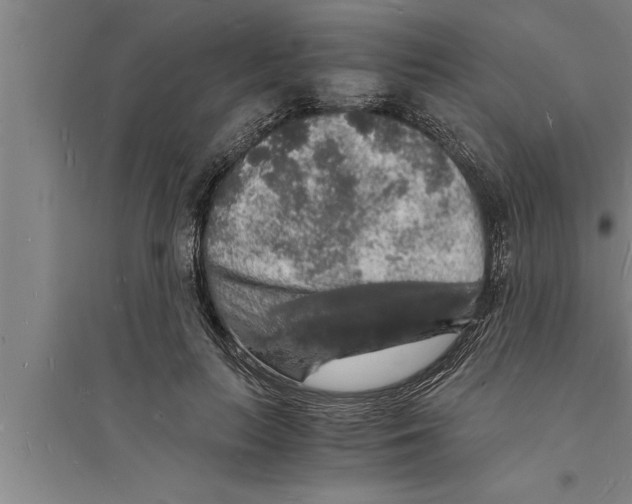 X0000094060647200711161525