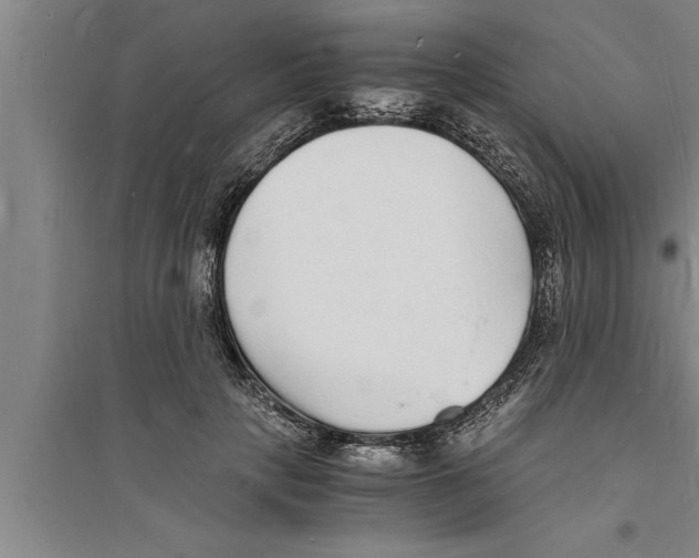 X0000094060649200711161525