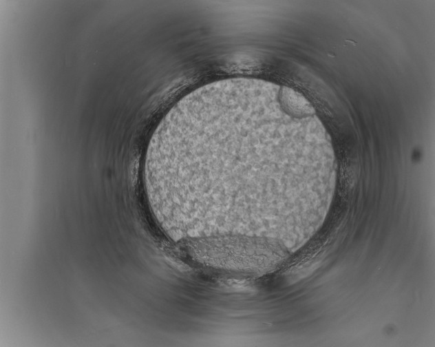 X0000094060652200711161525