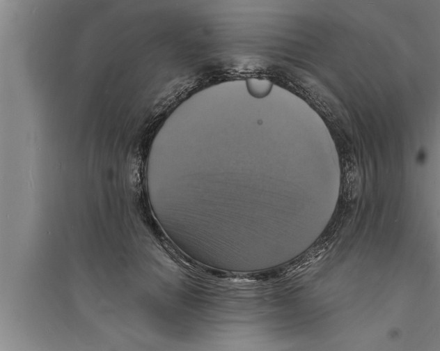 X0000094060654200711161525