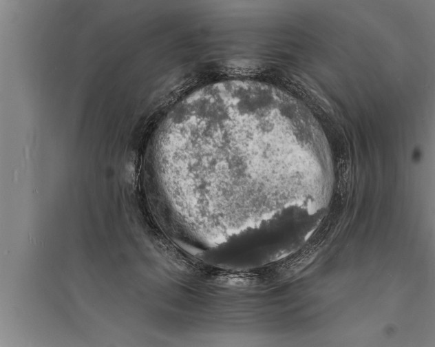 X0000094060655200711161525