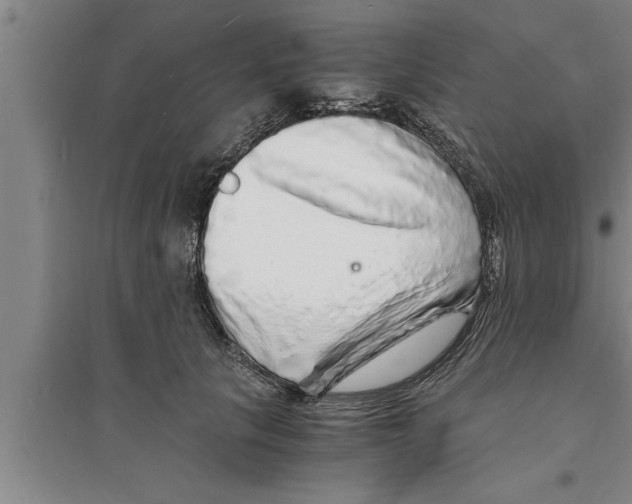 X0000094060657200711161525