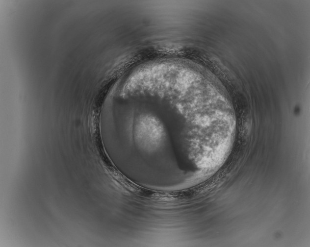 X0000094060658200711161525