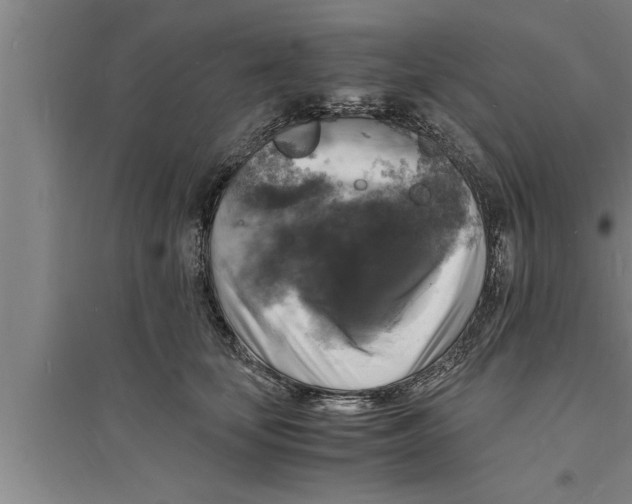 X0000094060659200711161525