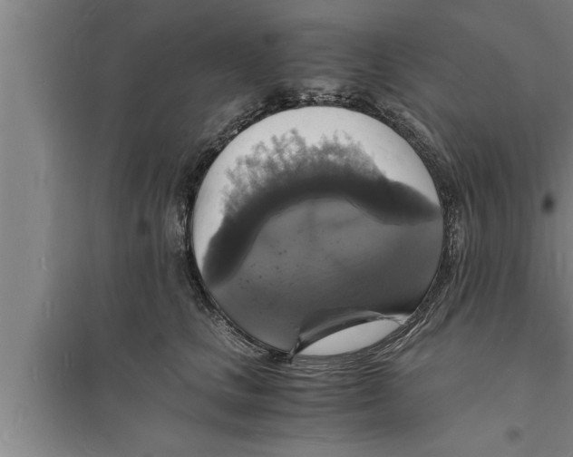 X0000094060661200711161525