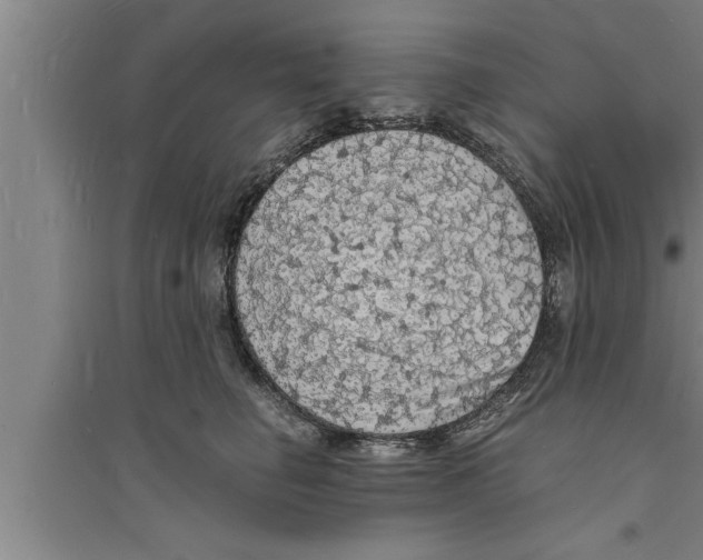 X0000094060662200711161525