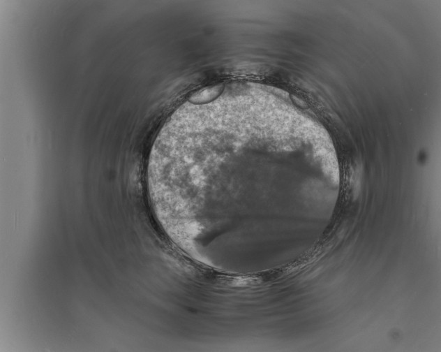 X0000094060663200711161525