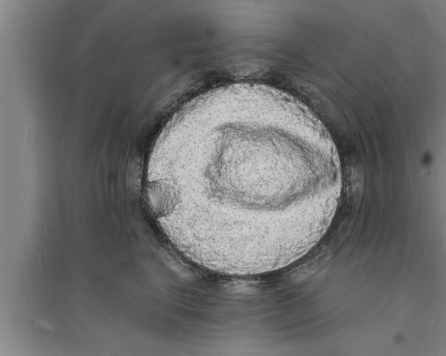 X0000094060664200711161525