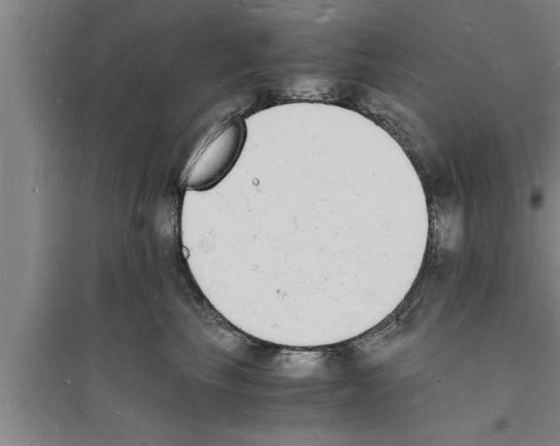 X0000094060665200711161525