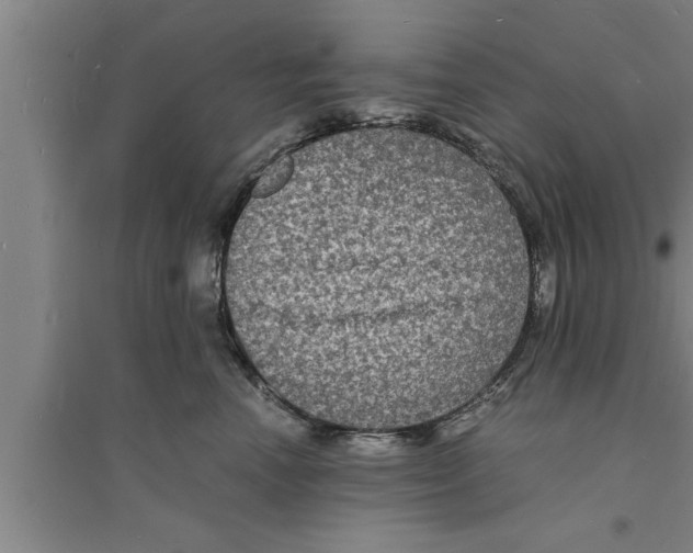 X0000094060666200711161525