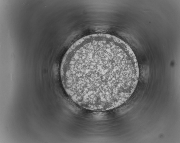 X0000094060667200711161525