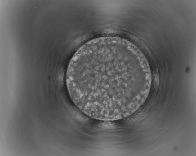 X0000094060668200711161525